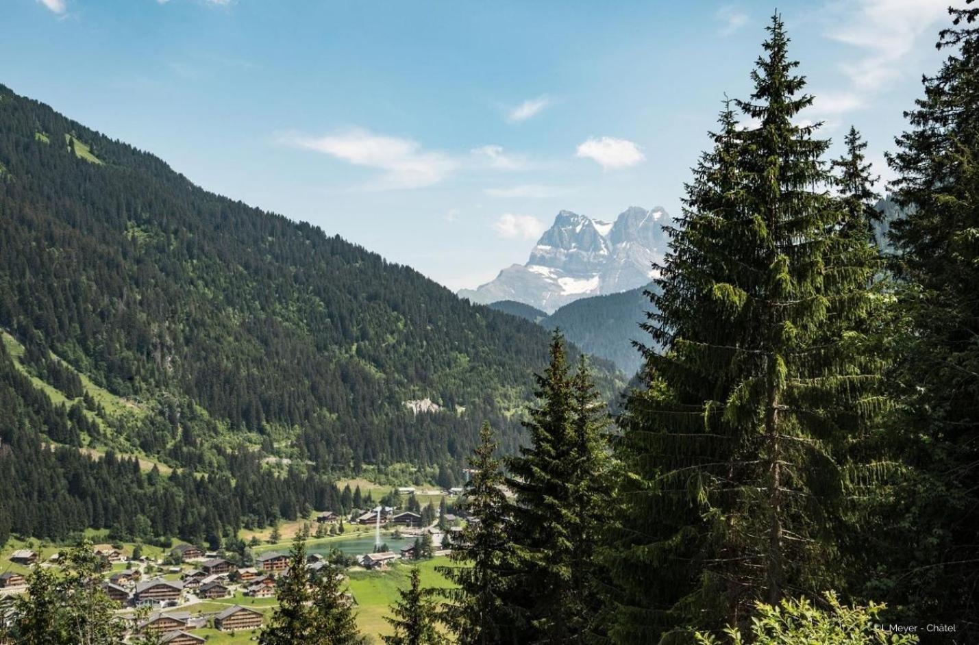 Апартаменты Toison Blanche Tba3 Cosy & Mountain 4 Pers Шатель Экстерьер фото